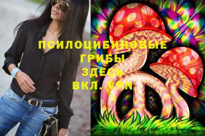 KRAKEN ONION  Алапаевск  Псилоцибиновые грибы Magic Shrooms 